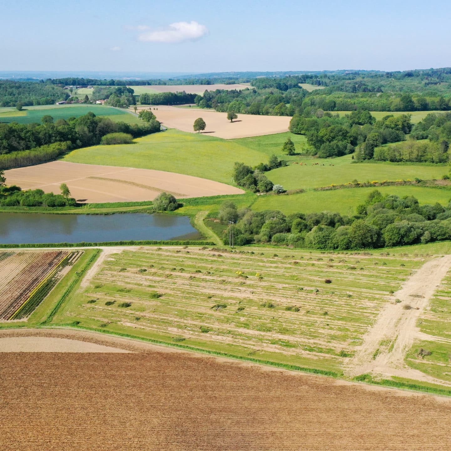 charente