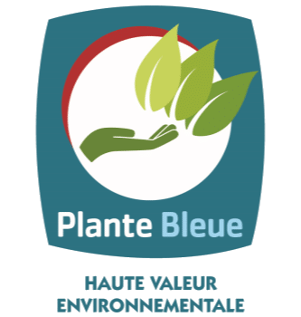 plante bleue